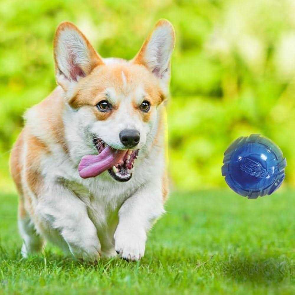 Blue/Green LED Ball Dog Toys W4361