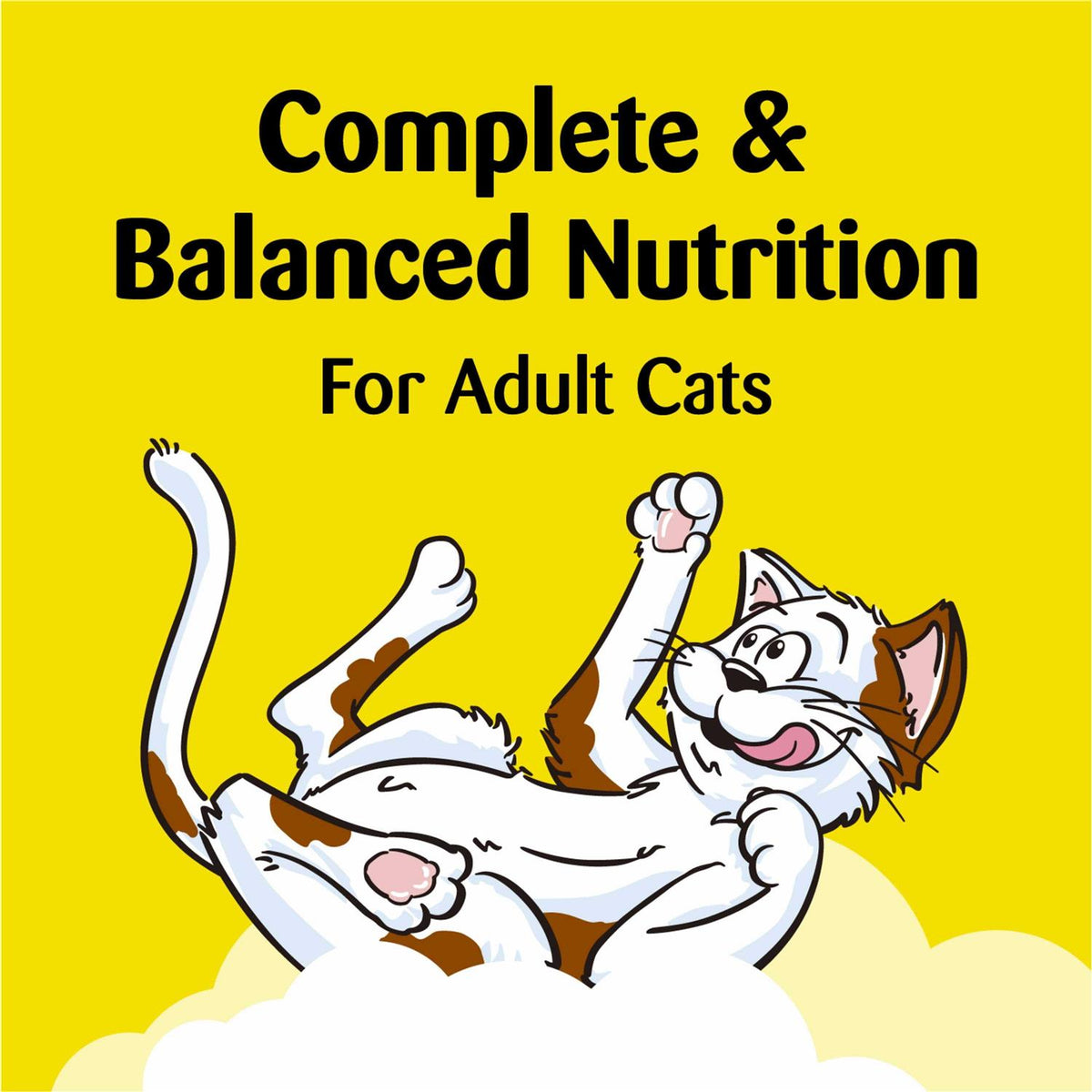 Chicken Flavor Crunchy and Soft Cat Treats F129892