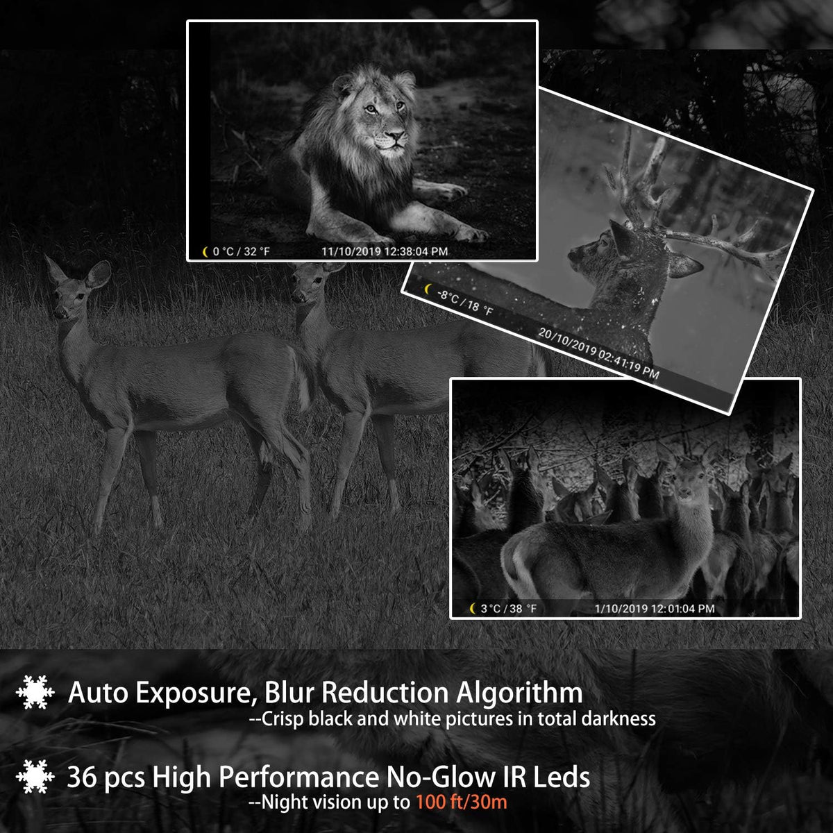 2-Pack 24MP 1296P Trail Cameras with Night Vision A74707