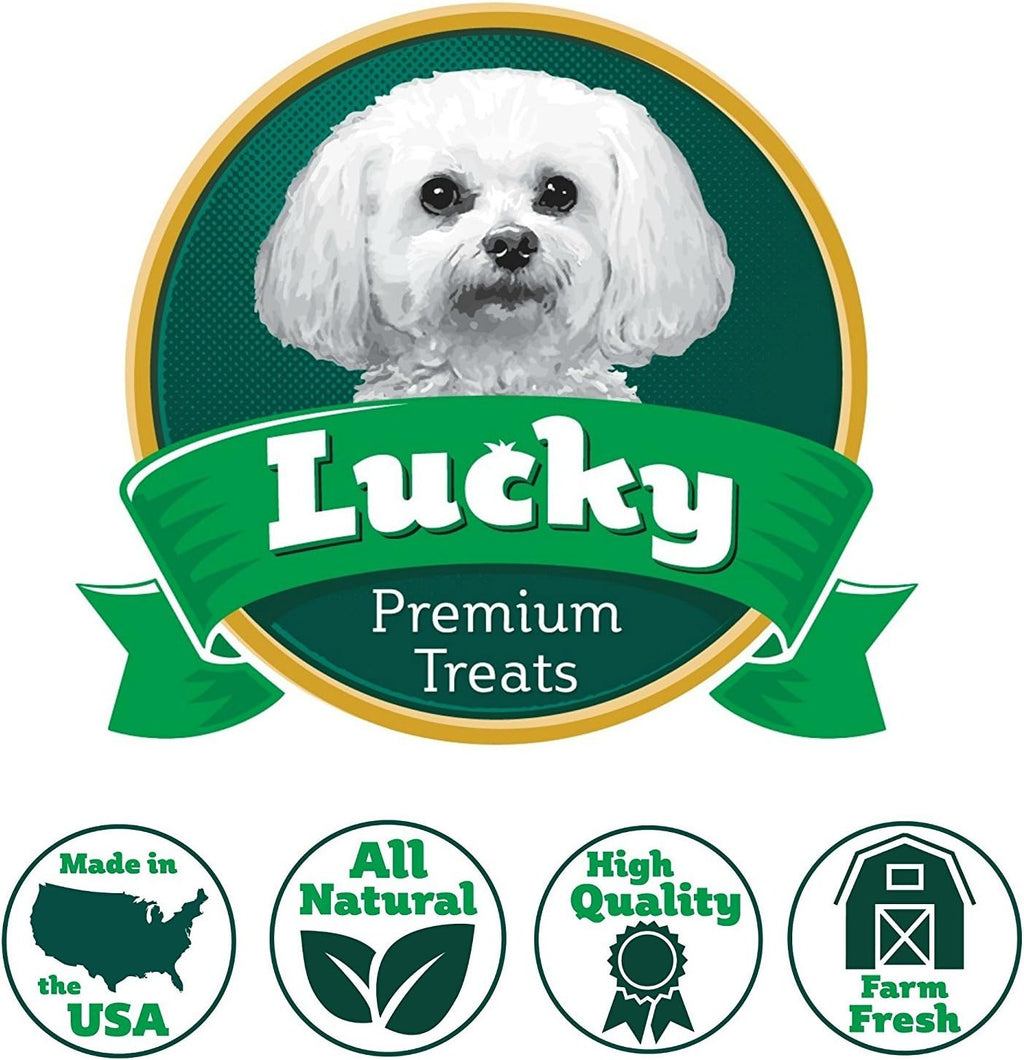 Dehydrated Carrot Medallion Dog Treats H7860