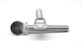 Fine Thread Thumb Screw with Shoulder Low Carbon Steel Zinc Plated M1888