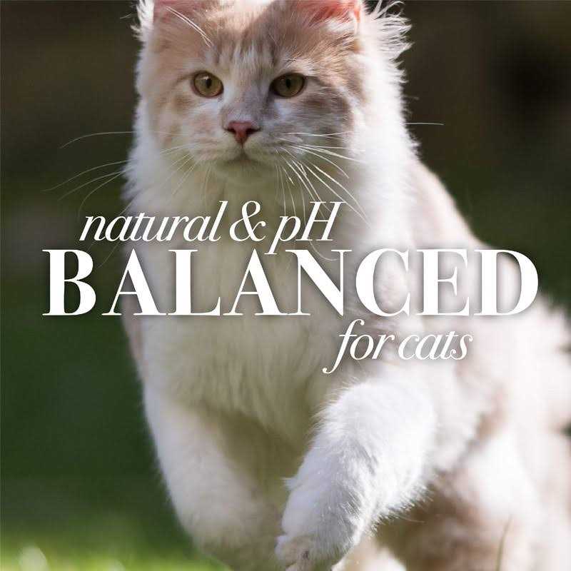 Hypoallergenic Cat Shampoo C3081