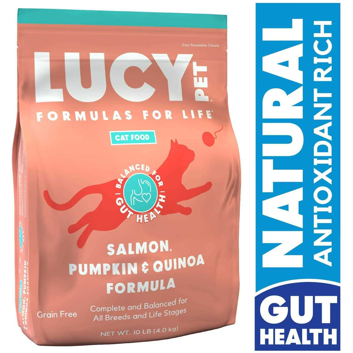 Dry Cat Food Salmon X424486