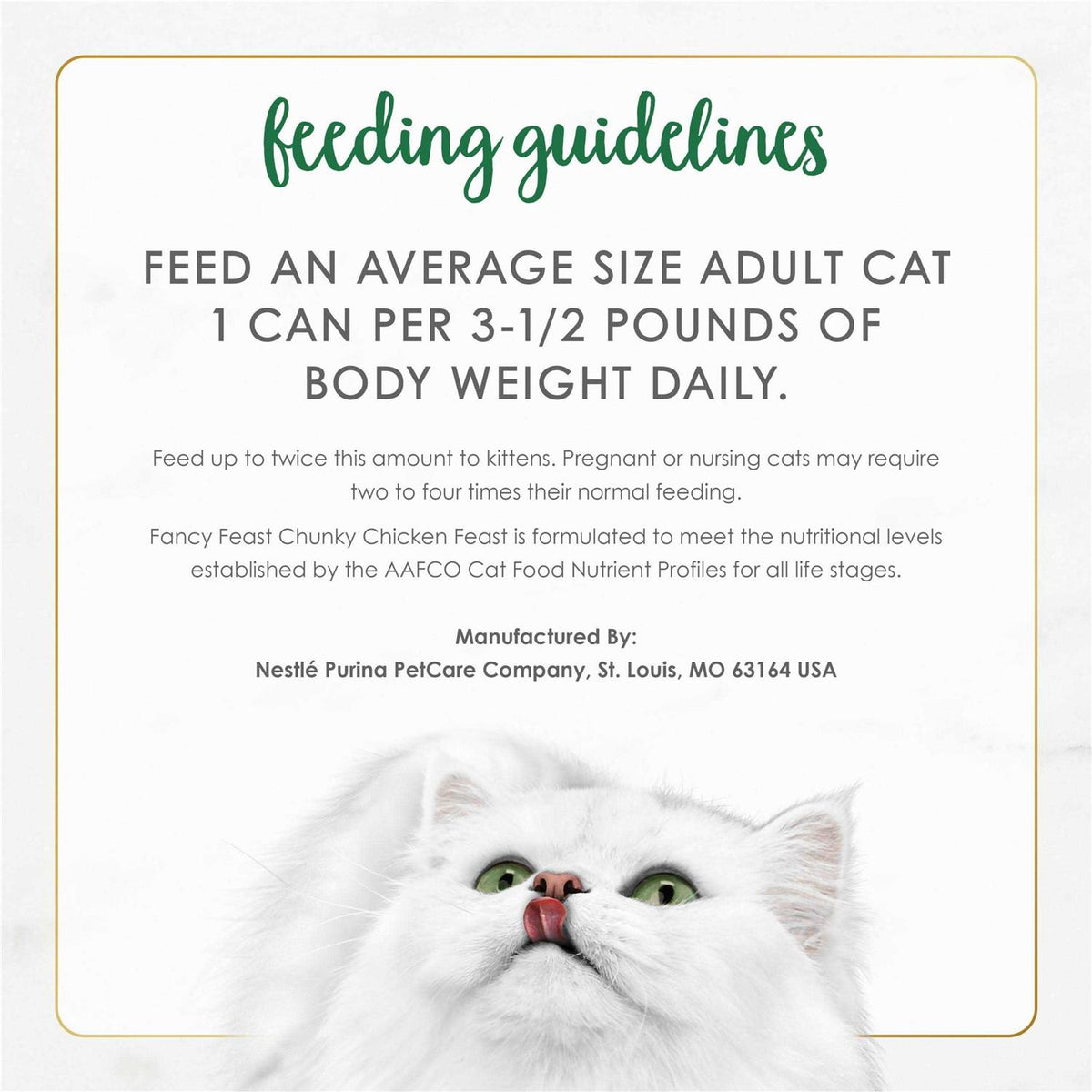 Wet Cat Food O65810