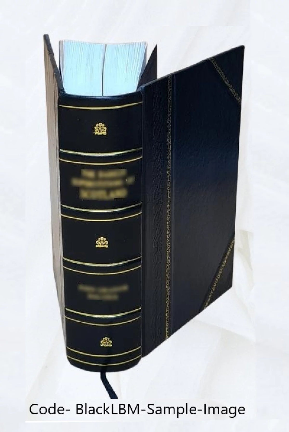 Digital Computer and Control Engineering Leather Bound L3735