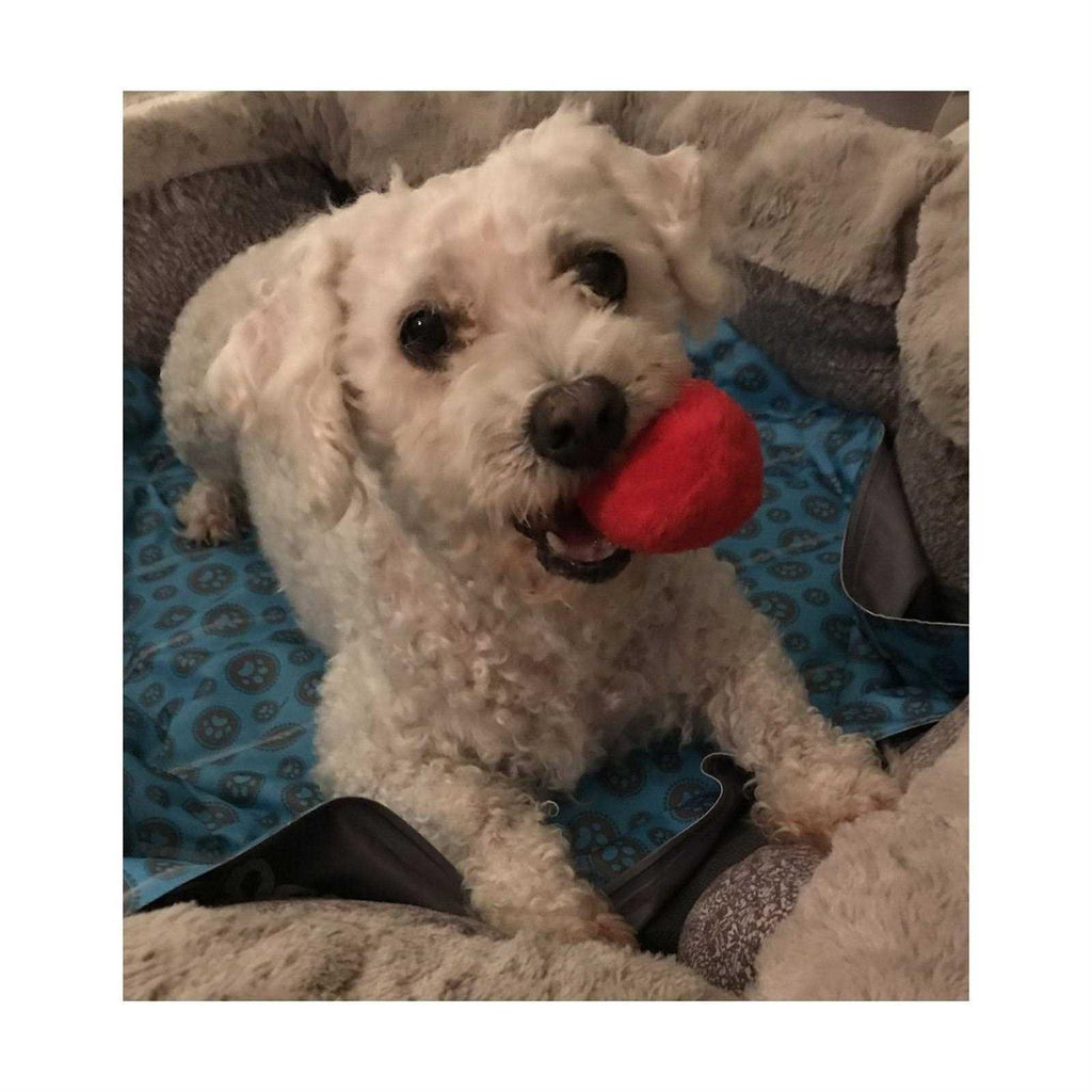 12 Pack Plush Squeaky Balls R3495
