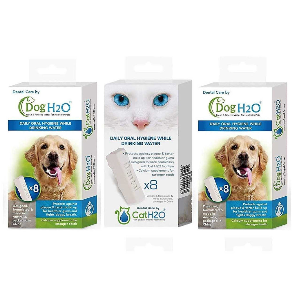 Dental Care Tablets L4920