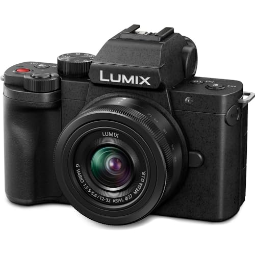 Panasonic Lumix G100 4K Mirrorless Camera with 12-32mm Lens W364