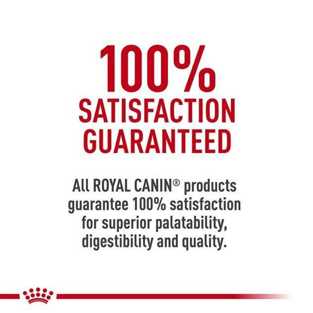 Veterinary Diet Dry Dog Food H294075