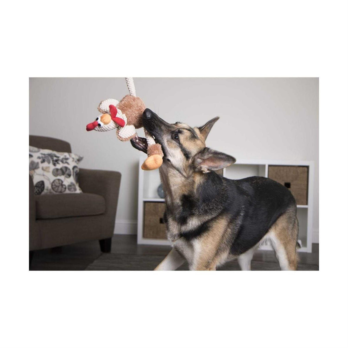 Skinny Rooster Dog Toy F764