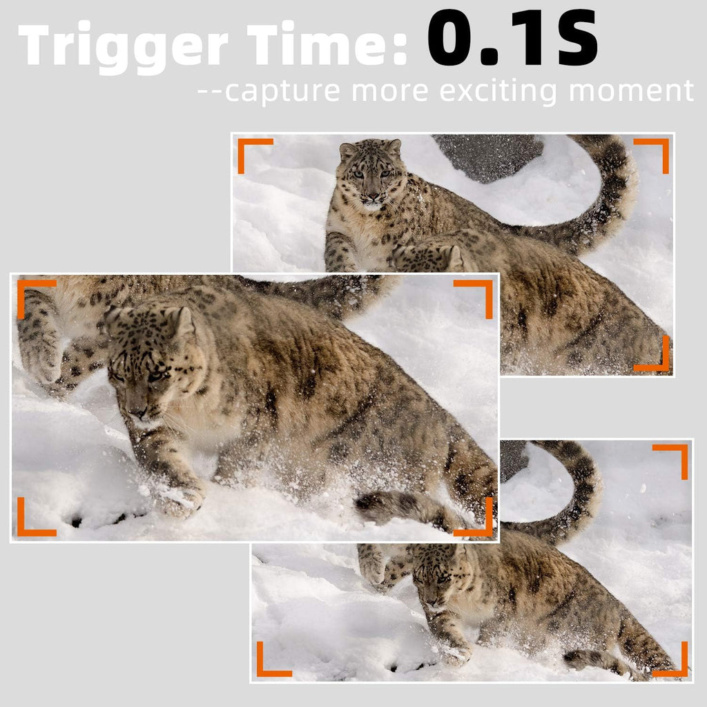 2-Pack 24MP 1296P Trail Cameras with Night Vision A74707