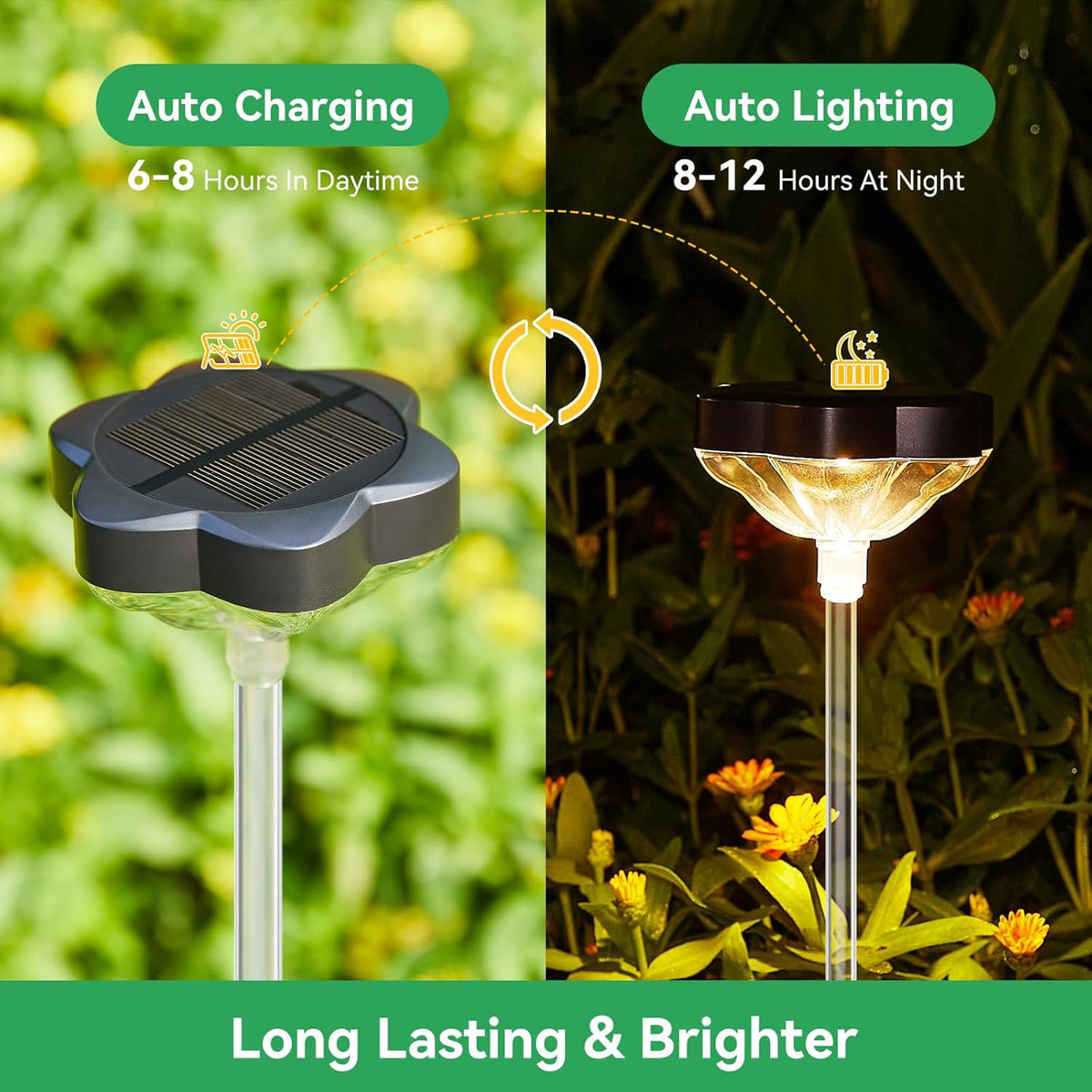 6 Pack Solar Pathway Lights C4062