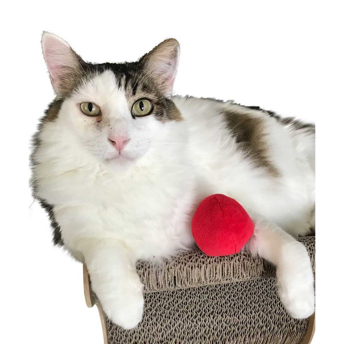 12 Pack Plush Squeaky Balls R3495