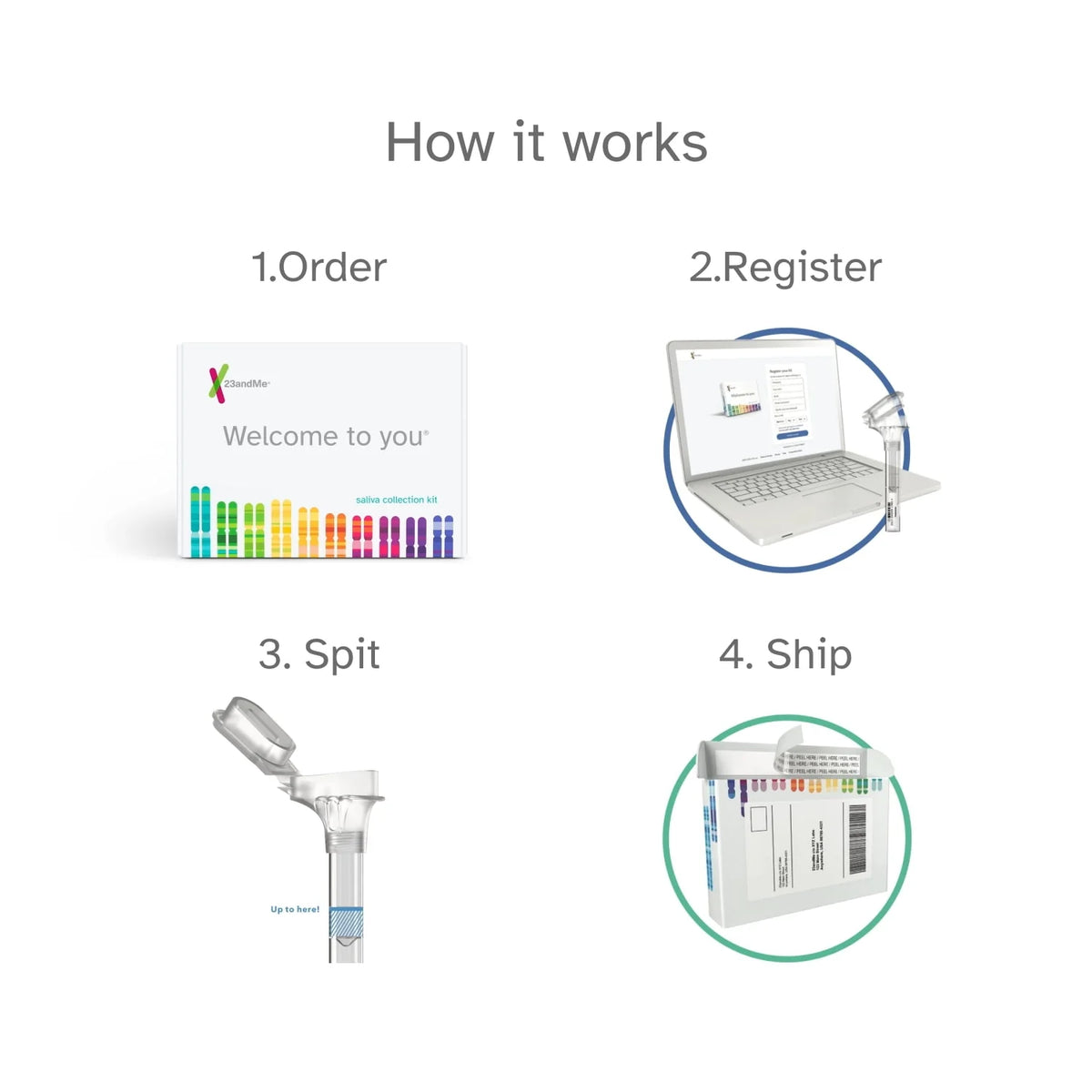 DNA Test Kit with Trait Reports T2363