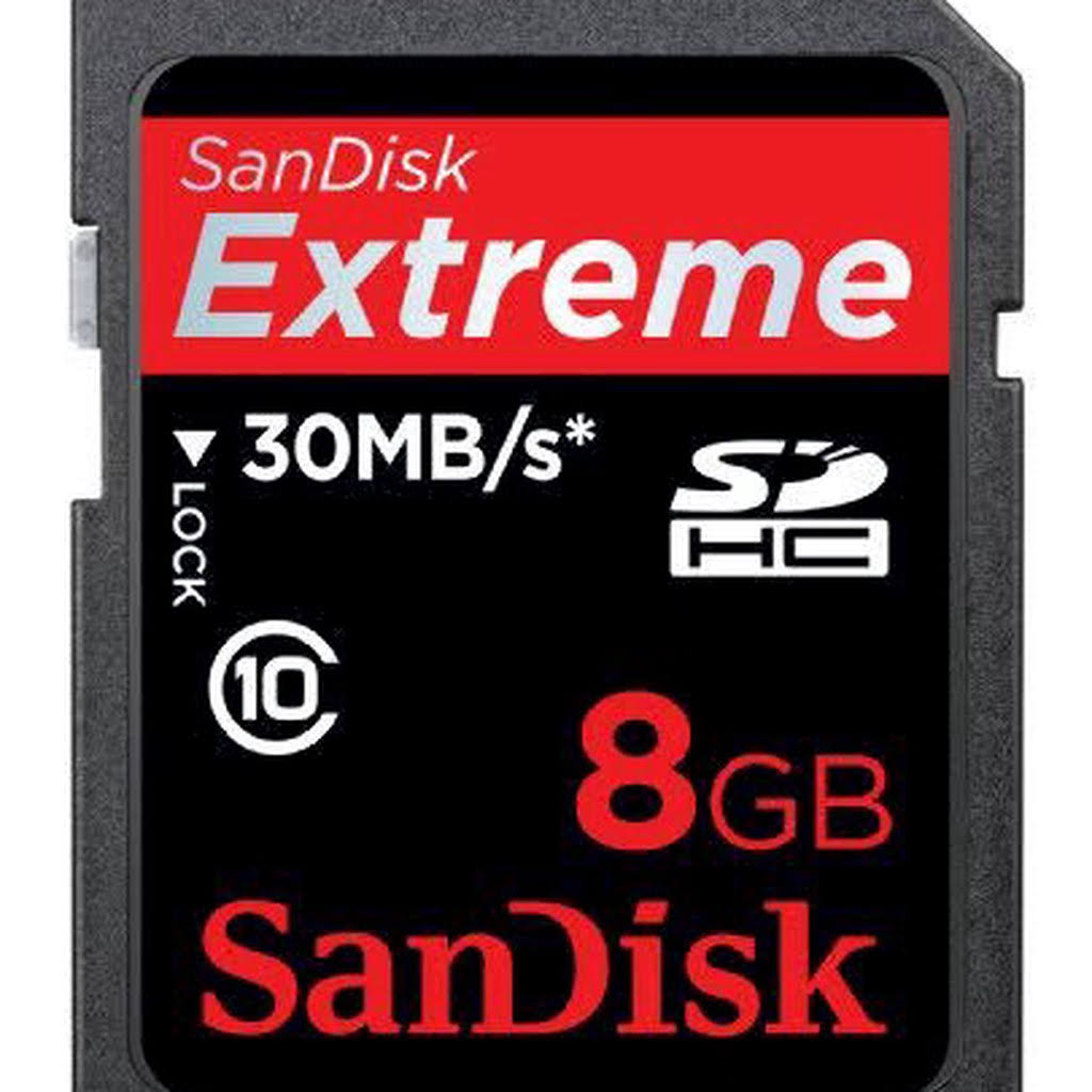 8GB Class 10 SDHC Memory Card R98225