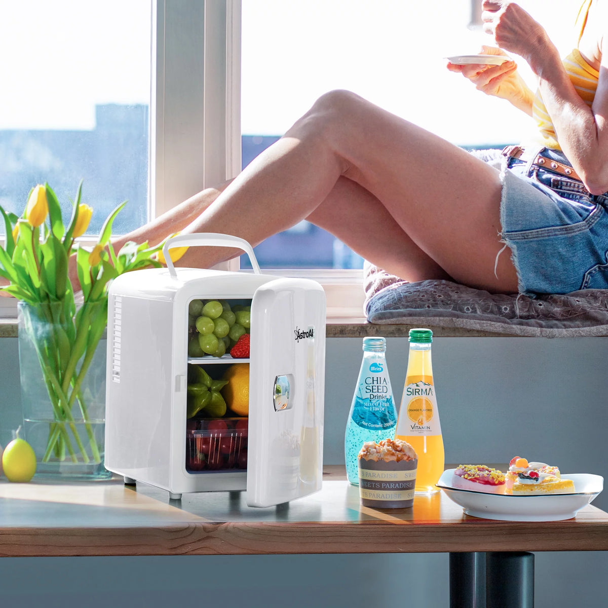 6 Can 4 Liter Portable Electric Cooler L816737