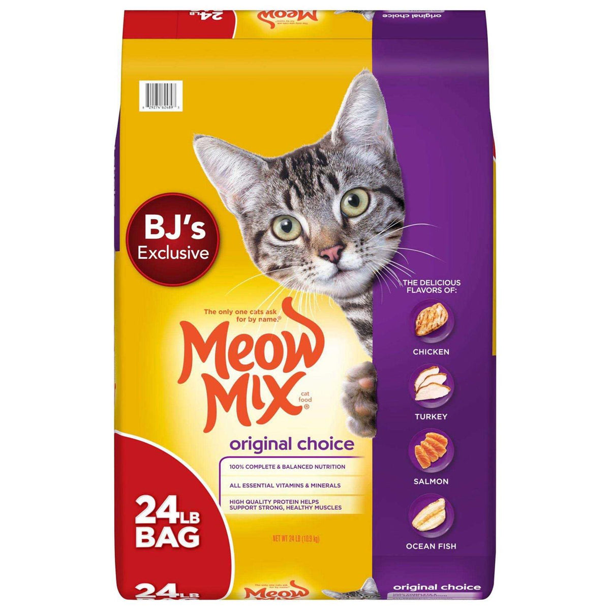 Cat Food B498