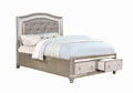 Metallic Platinum Storage Bedroom Set H9091