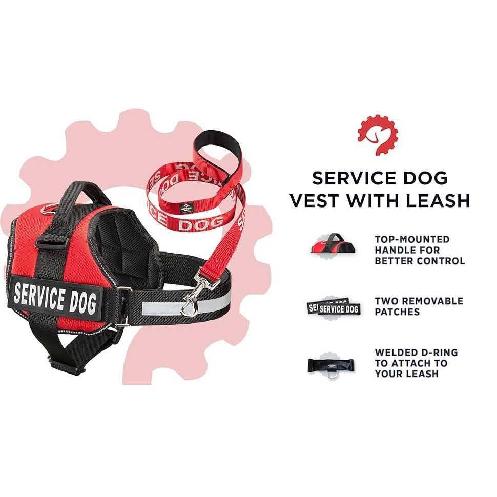 Service Dog Vest with Straps & Leash Set O11890