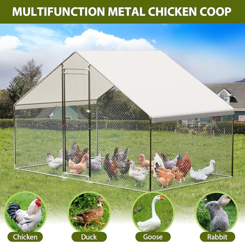 Large Metal Chicken Coop with Waterproof Cover, 9.8X6.5X6.5FT X240