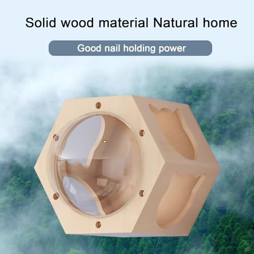 Cat Wall Shelves, Cat Wall Furniture, Cat Bridge Wall Mount Cat Perch, Hammock Cat Tree Cat Climber Set, DIY Combination P52808