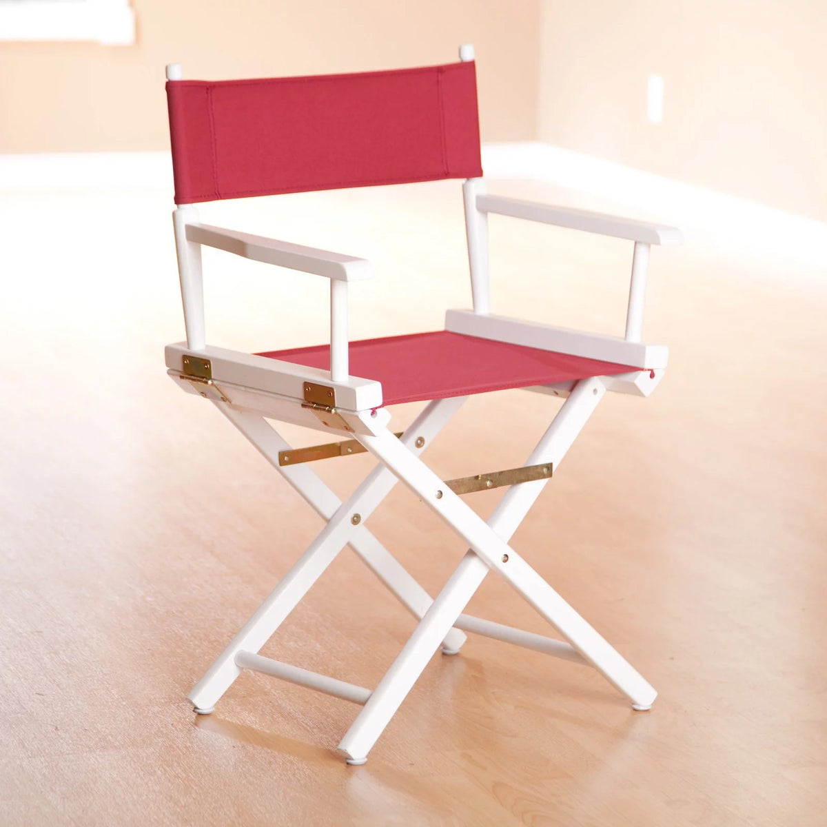 Directors Chair D37884