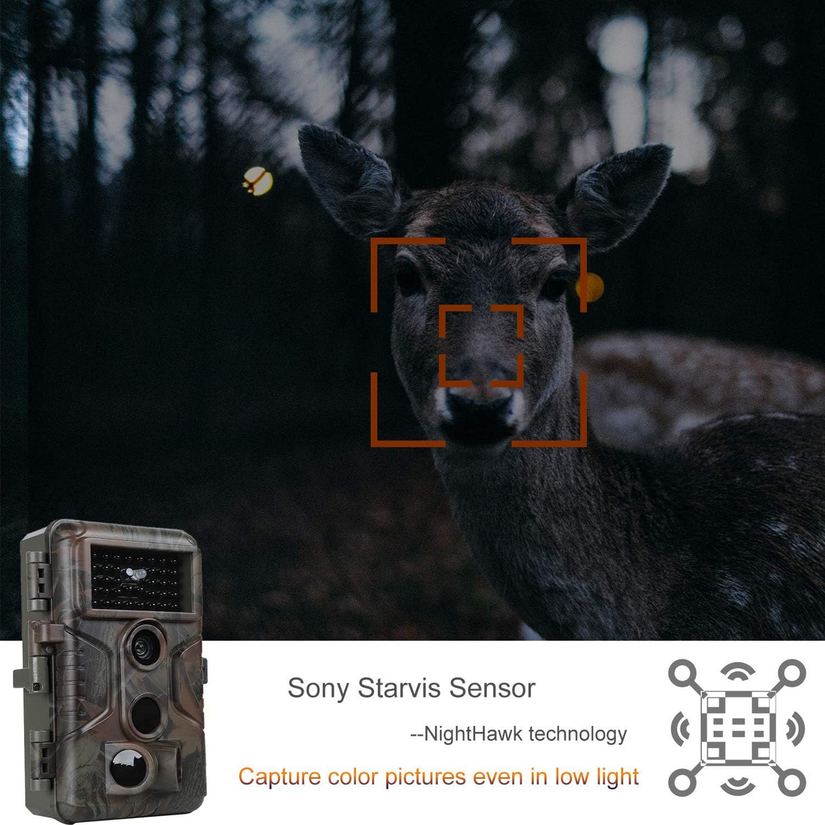 2-Pack 24MP 1296P Trail Cameras with Night Vision A74707