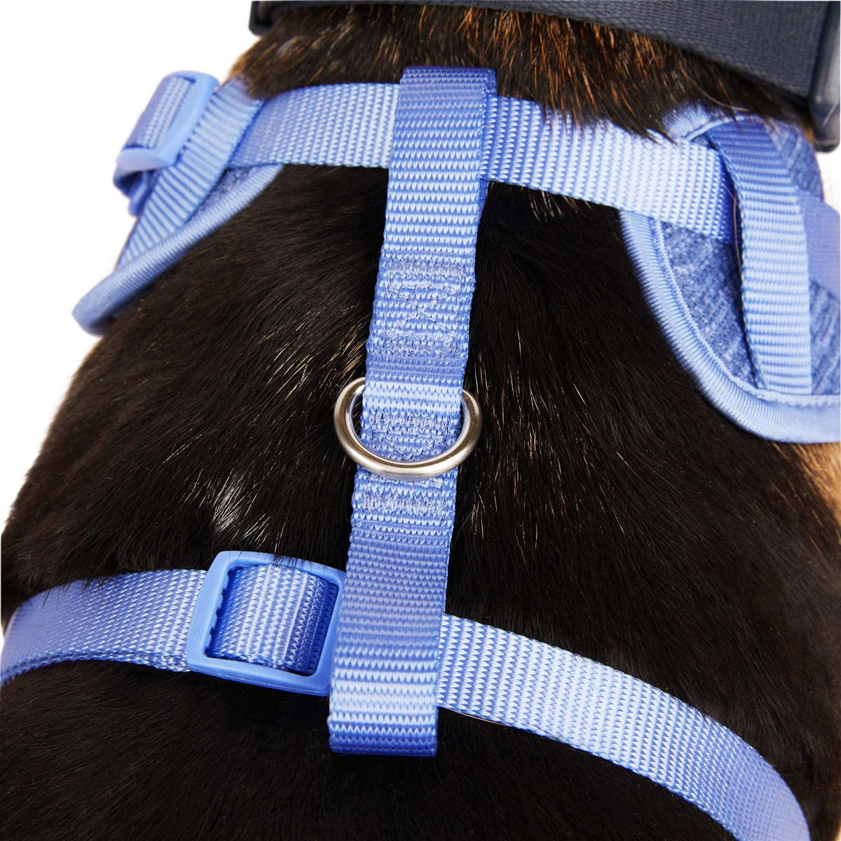Heather Pullover Dog Harness I975