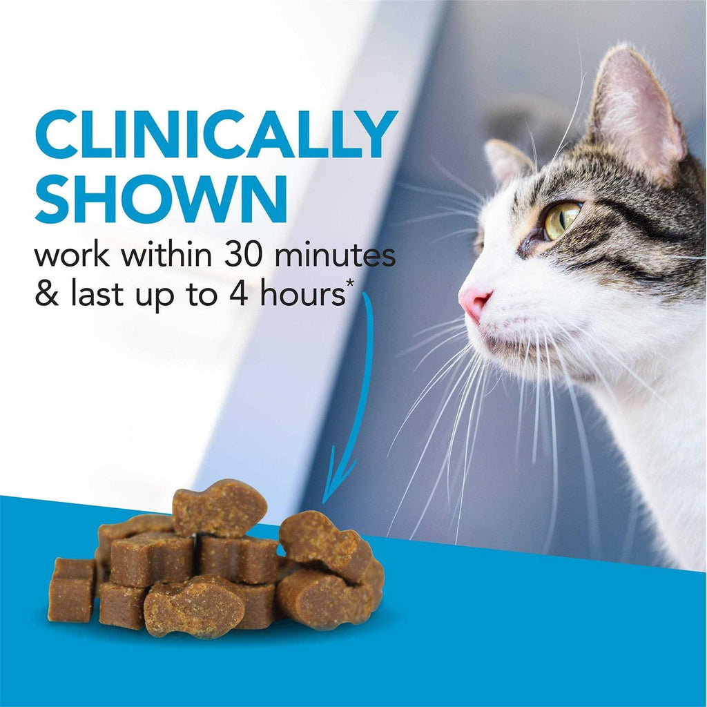 Cat Supplies L52580