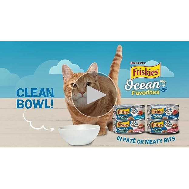 Wet Cat Food U498498