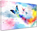 Colorful Butterfly Framed Canvas Wall Art (16'' x 24'') T130