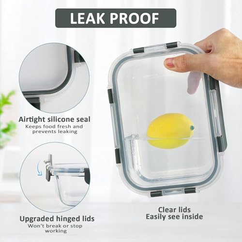 10-Pack 22 Oz Glass Meal Prep Containers with lids R507996