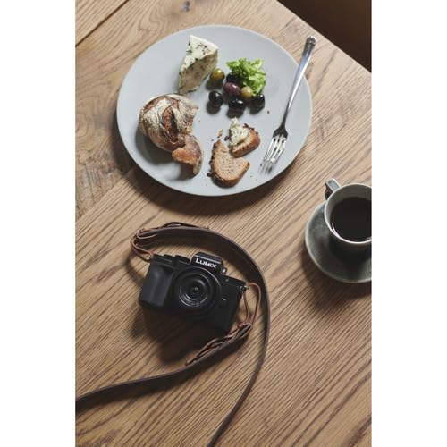 Panasonic Lumix G100 4K Mirrorless Camera with 12-32mm Lens W364