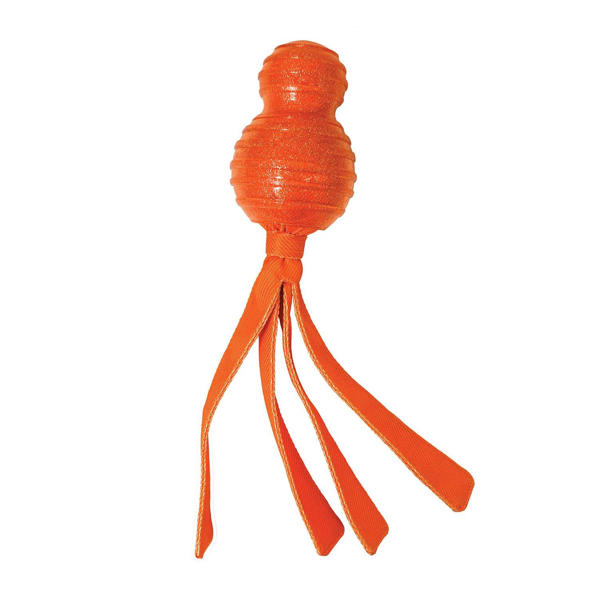 Dog Toy B247