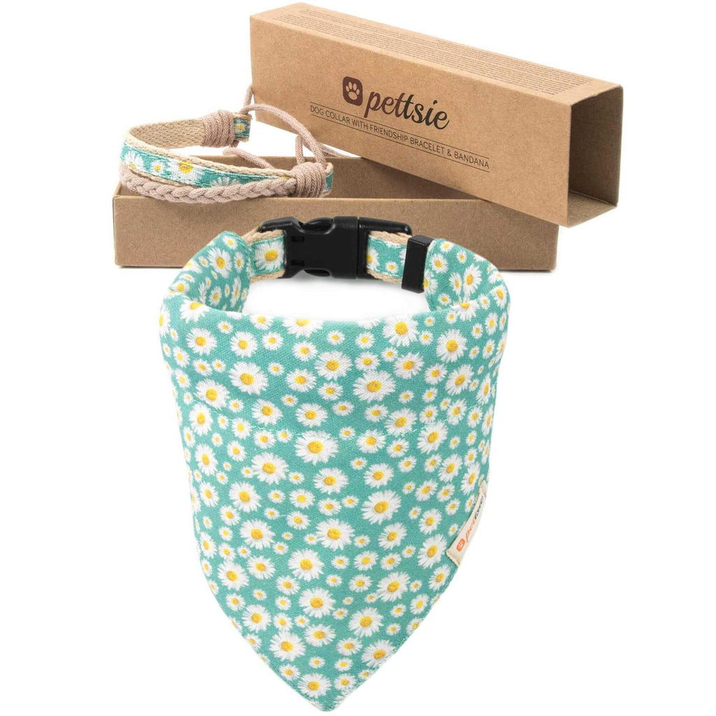 Matching Dog Collar, Bandana and Friendship Bracelet H147