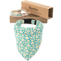 Matching Dog Collar, Bandana and Friendship Bracelet H147
