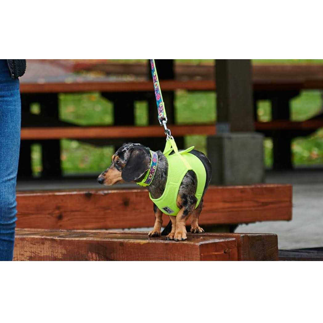 Step in Dog Harness I91961