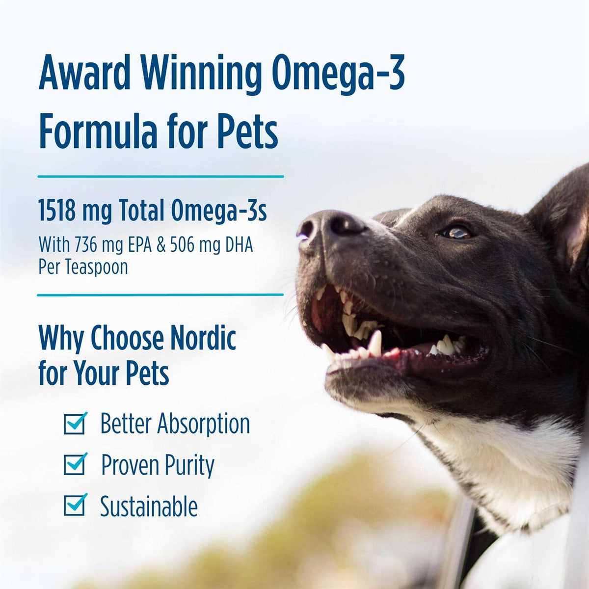 Omega 3 Pet M784268