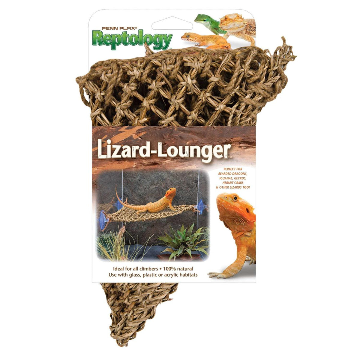 Lizard Lounger F805