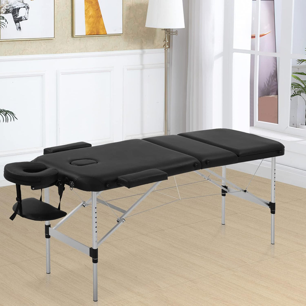 Portable 3 Folding Massage Table with Carry Case C50568