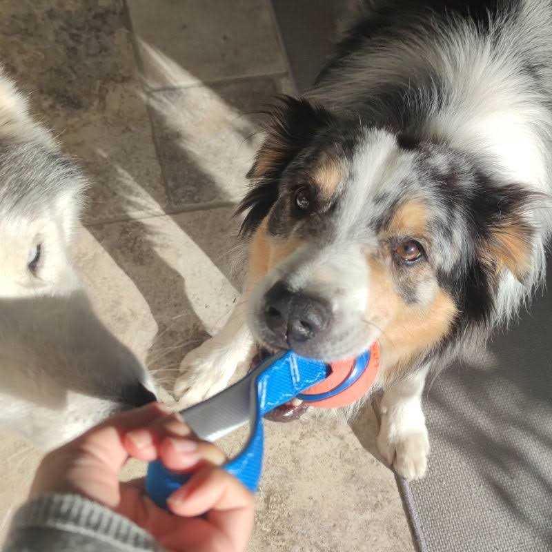 Dog Tug Toy Y1211