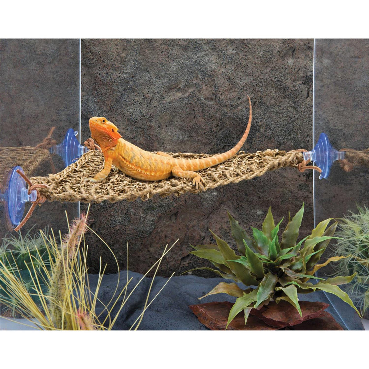 Lizard Lounger F805