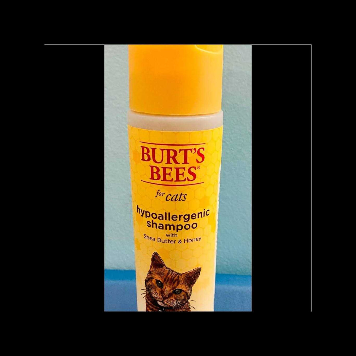 Hypoallergenic Cat Shampoo C3081