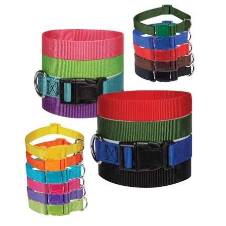 40 Collars Nylon Dog Collars Bulk Pack Y146211