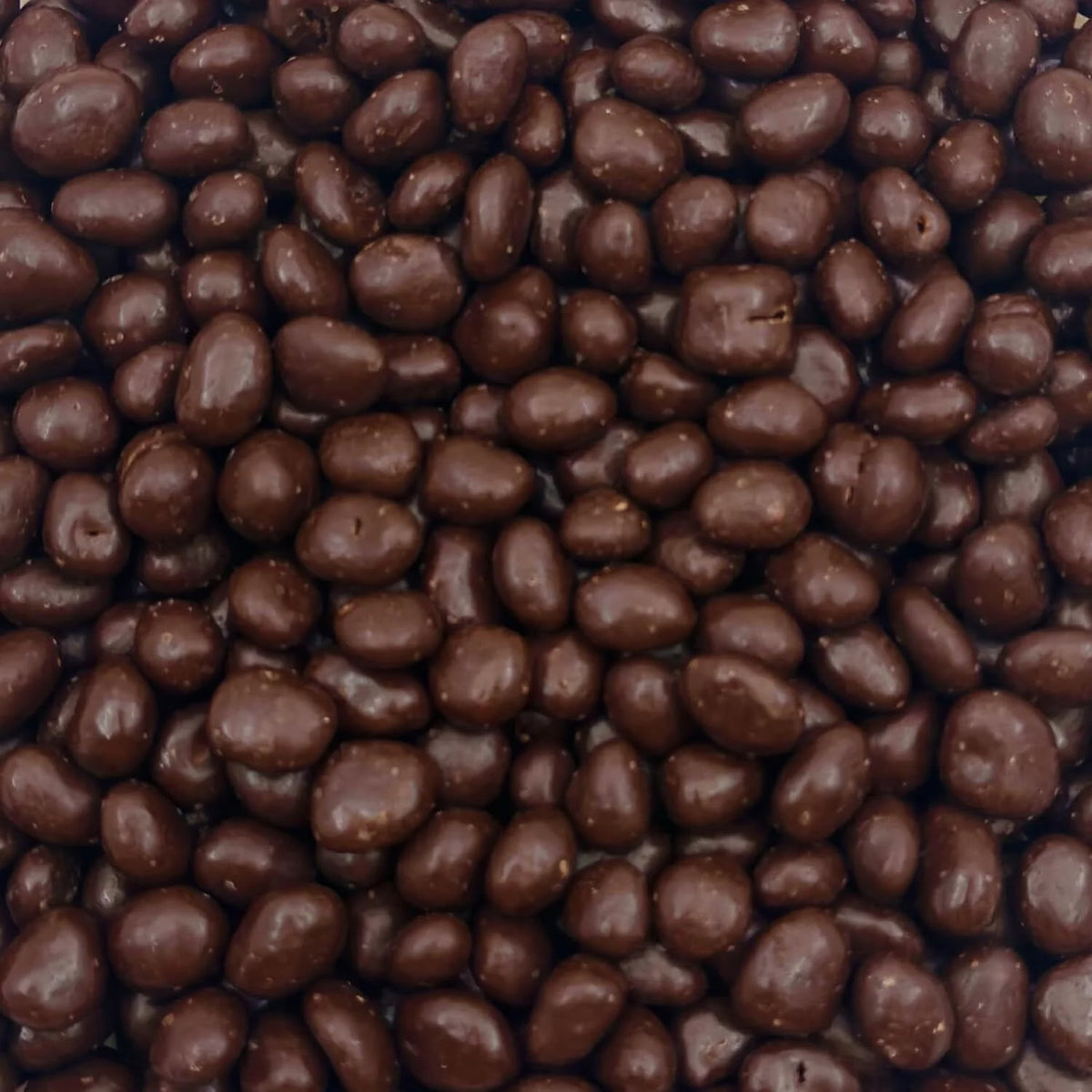 Dark Chocolate Covered Raisins 2-Pound Bag H825