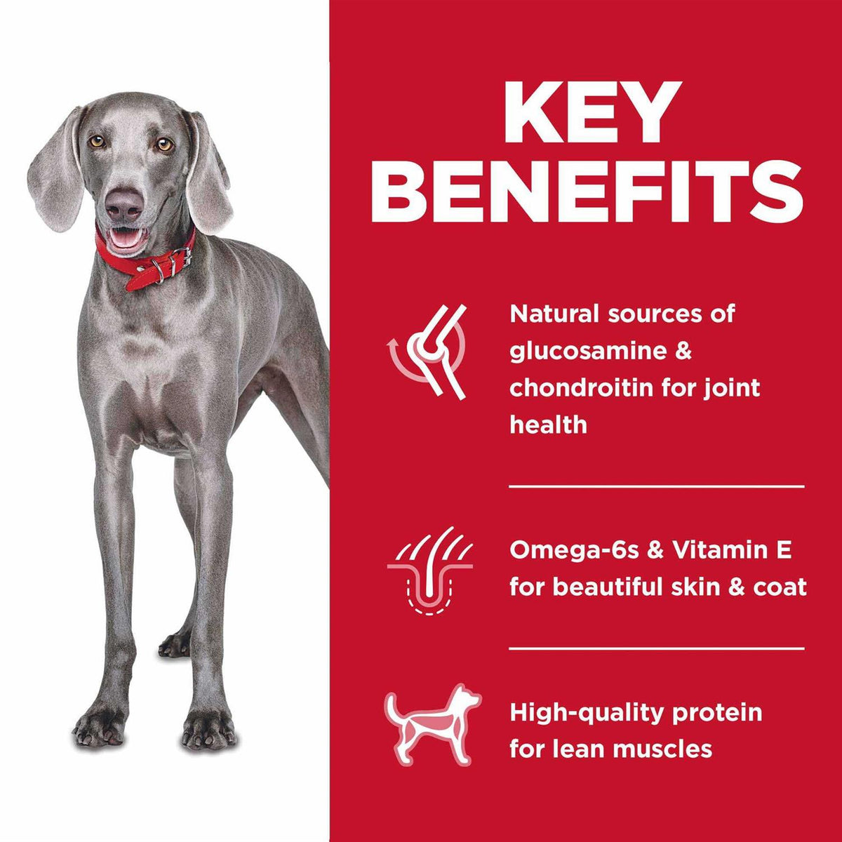 Adult Large Breed No Grain Chicken Dog Food 14 kg H909