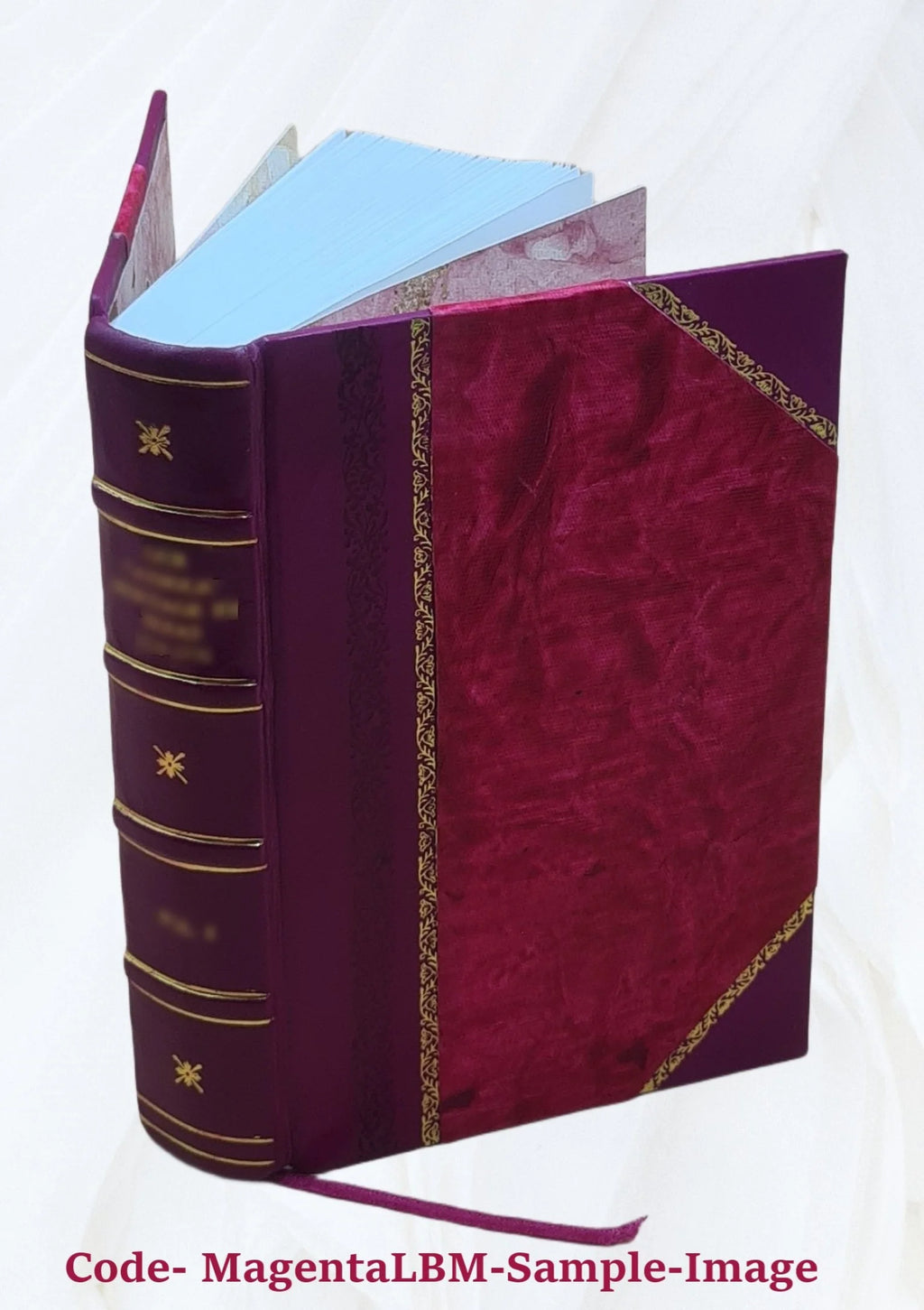 Diseases and Disorders of the Ox and Sheep N419