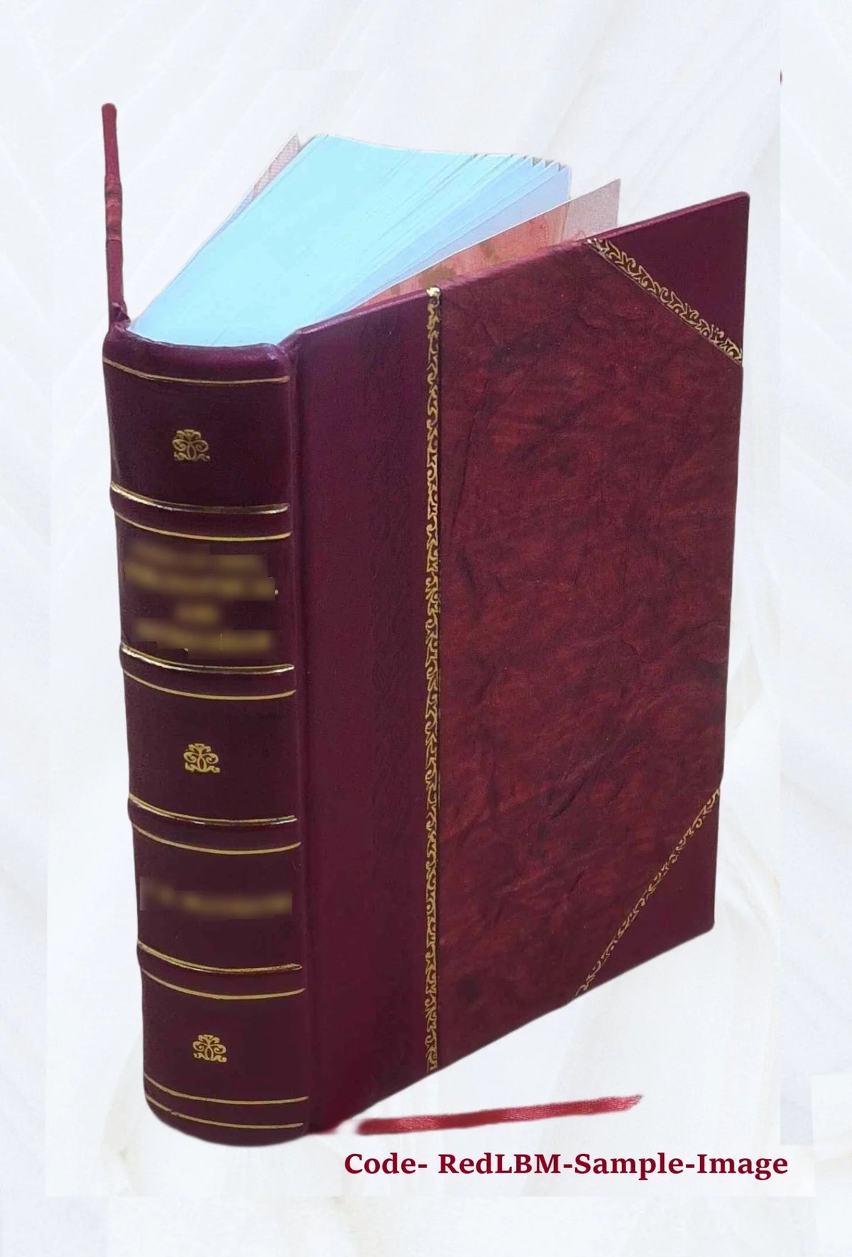 Diseases and Disorders of the Ox and Sheep N419