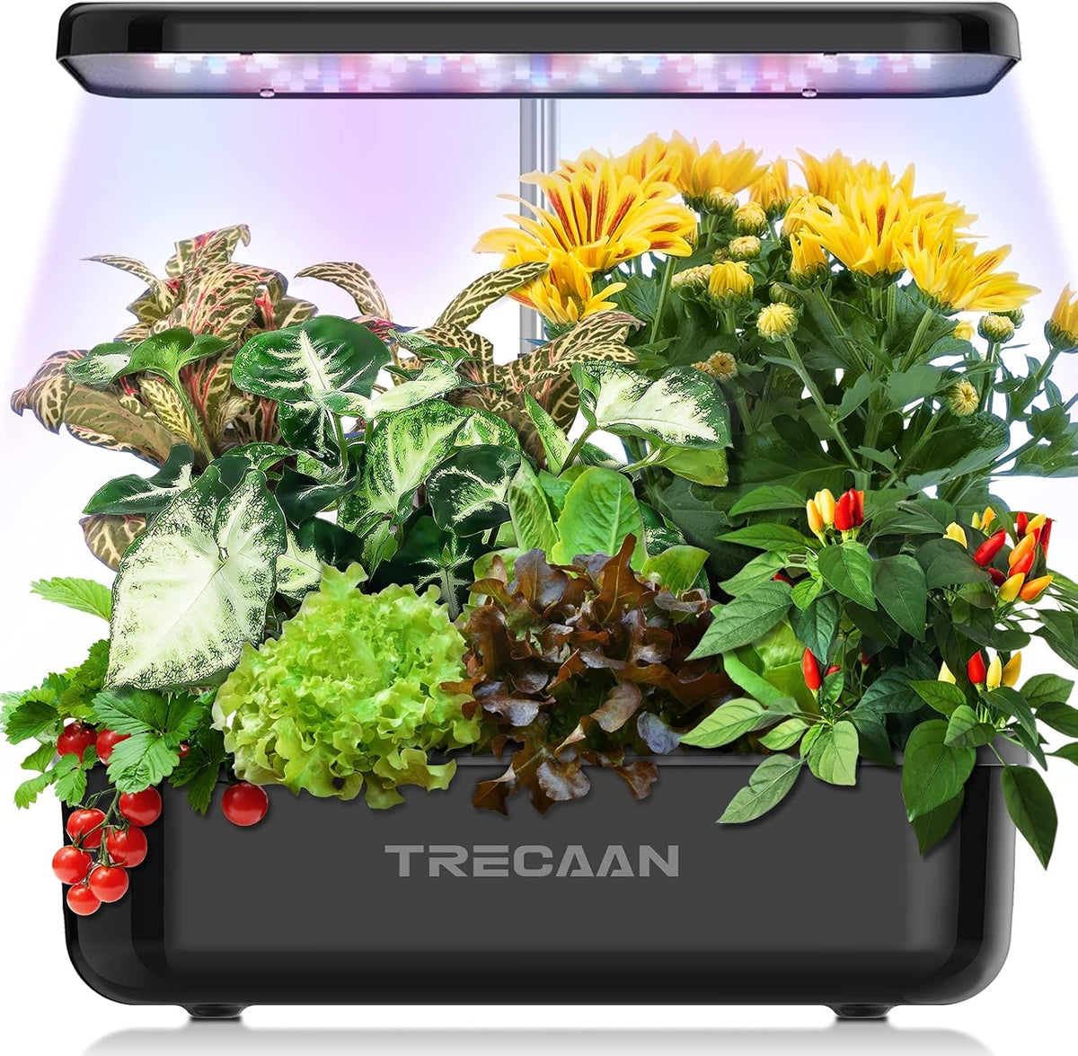 15 Pods Hydroponic Growing System Black H90705
