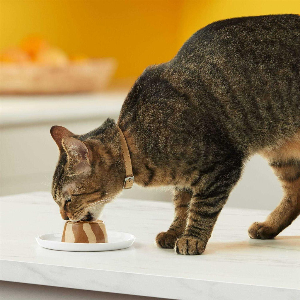 Cat Food C87520